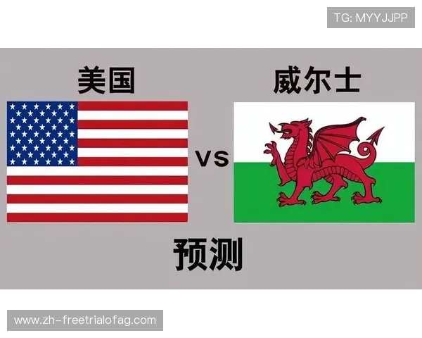 世界杯新西兰主教练与比利时主教练战术体系及比赛策略详细比较